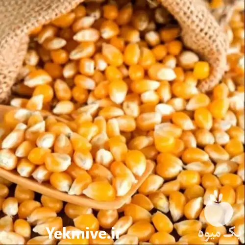 فروش 	ذرت دامی در تهران در گروه خوراک دام و طیور در یکمیوه -عکس1