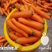 قیمت خرید بذر هویج استاندارد فورتو در هرمز در گروه خرید و فروش بذر هویج در یکمیوه