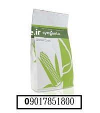 بذر ذرت شیرین کوپر KOOPER سینجینتا در اهواز در گروه خرید و فروش انواع بذر در یکمیوه