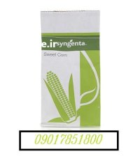 بذر ذرت شیرین تایسون TYSONسینجنتا در اهواز در گروه خرید و فروش انواع بذر در یکمیوه