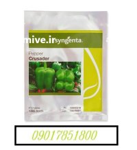 فروش بذر فلفل دلمه کروسادر سینجنتا در اهواز در گروه خرید و فروش بذر فلفل در یکمیوه