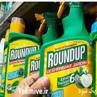 فروش ویژه علف کش رانداپ در گروه خرید و فروش انواع سم در یکمیوه