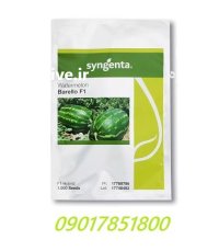 بذر هندوانه بارلو Barello سینجینتا در اهواز در گروه خرید و فروش بذر هندوانه در یکمیوه