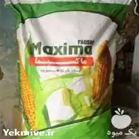 قیمت خرید بذر ذرت ماکسیما در یزد در گروه خرید و فروش بذر ذرت در یکمیوه