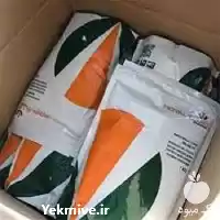 قیمت خرید بذر ذرت رویال اسلویش در گروه خرید و فروش بذر ذرت در یکمیوه