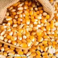 فروش 	ذرت دامی در تهران در گروه خوراک دام و طیور در یکمیوه