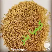 فروش بذر یونجه گرمسیری نیکشهری در زاهدان در گروه خرید و فروش بذر یونجه در یکمیوه