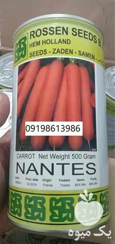 قیمت خرید بذر هویج نانتس ارسال در بوشهر در گروه خرید و فروش بذر هویج در یکمیوه -عکس1