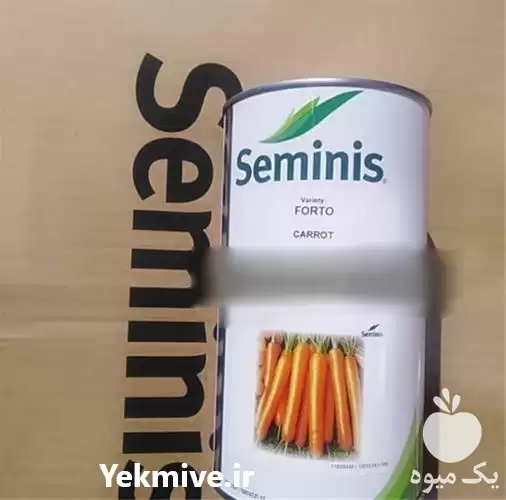 فروش بذر هویج نانتس سیمینس در گروه خرید و فروش بذر هویج در یکمیوه -عکس1
