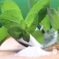 قیمت خرید شیرینی گیاهی بدون کالری در رشت در گروه خرید و فروش گیاهان دارویی در یکمیوه