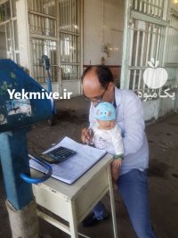 آگهی مشابه خریدار میوه تره بار و خکشبار در تبریز در گروه خرید و فروش محصولات باغبانی در یکمیوه