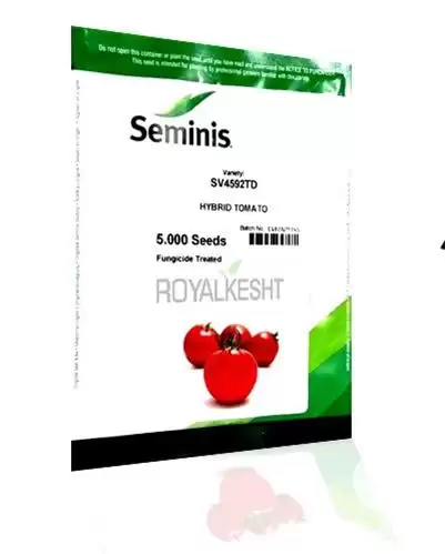 قیمت خرید بذر گوجه هیبرید 4592 در یزد در گروه خرید و فروش بذر گوجه در یکمیوه -عکس1