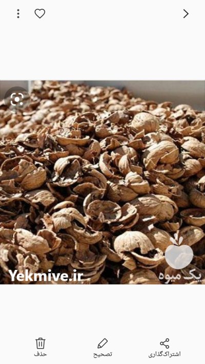 فروش پوست گردو خشک در مریوان در گروه خرید و فروش گردو در یکمیوه -عکس1