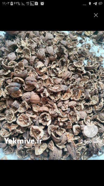 فروش پوست گردو خشک در مریوان در گروه خرید و فروش گردو در یکمیوه -عکس2