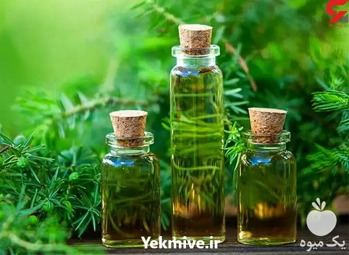 قیمت خرید روغن درخت چای اصل در ارومیه در گروه خرید و فروش انواع روغن در یکمیوه -عکس1