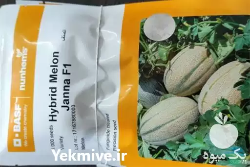 قیمت خرید بذر janna در اهواز در گروه خرید و فروش انواع بذر در یکمیوه -عکس1