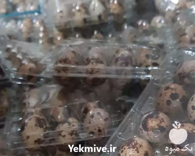 قیمت خرید تخم بلدرچین در اصفهان در گروه انواع تخم ها در یکمیوه -عکس1
