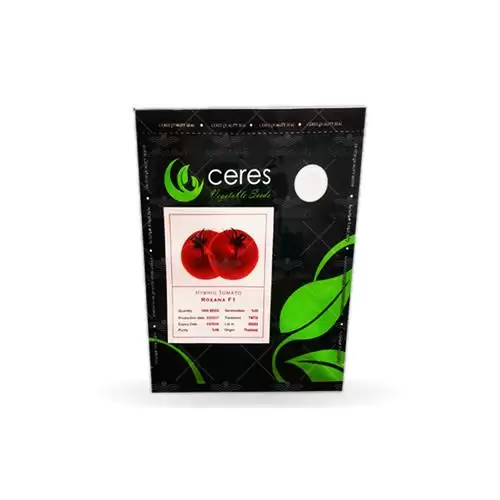 فروش بذر گوجه رکسانا در گروه خرید و فروش بذر گوجه در یکمیوه -عکس1