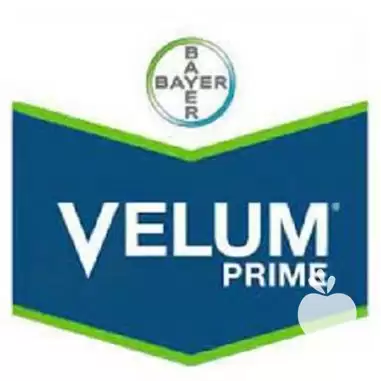 قیمت خرید سم نماتد کش ولوم در گرگان در گروه خرید و فروش انواع سم در یکمیوه -عکس1