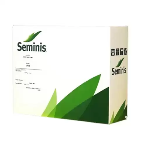 فروش بذر ذرت شیرین چیس سمینس در کرمانشاه در گروه خرید و فروش بذر ذرت در یکمیوه -عکس1