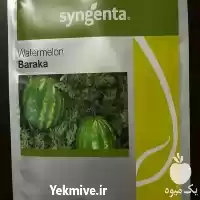 فروش ویژه بذر هندوانه باراکا در شیراز در گروه خرید و فروش بذر هندوانه در یکمیوه