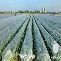 فروش پخش نایلون به صورت عمده در قم در گروه خرید و فروش انواع پوشش ها در یکمیوه