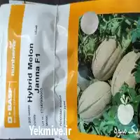 قیمت خرید بذر janna در اهواز در گروه خرید و فروش انواع بذر در یکمیوه