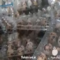 قیمت خرید تخم بلدرچین در اصفهان در گروه انواع تخم ها در یکمیوه