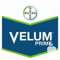 قیمت خرید سم نماتد کش ولوم در گرگان در گروه خرید و فروش انواع سم در یکمیوه