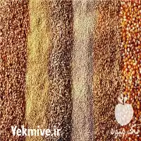 س در گروه خوراک دام و طیور در یکمیوه