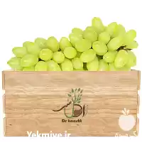 قیمت خرید عمده نهال انگور تبرزه در ارومیه در گروه خرید و فروش نهال انگور در یکمیوه