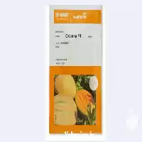 قیمت خرید بذر ملون در گروه خرید و فروش بذر ملون در یکمیوه