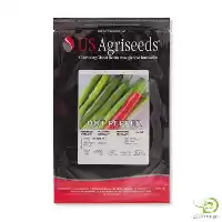 آگهی مشابه بذر فلفل قلمی تند کنزو در گروه خرید و فروش بذر فلفل در یکمیوه