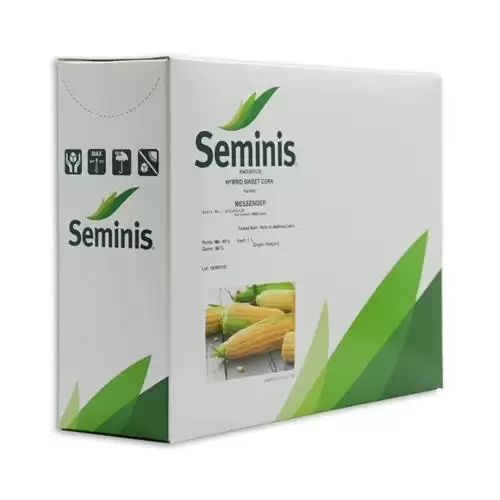 قیمت خرید بذر ذرت شیرین مسنجر در گروه خرید و فروش بذر ذرت در یکمیوه -عکس1