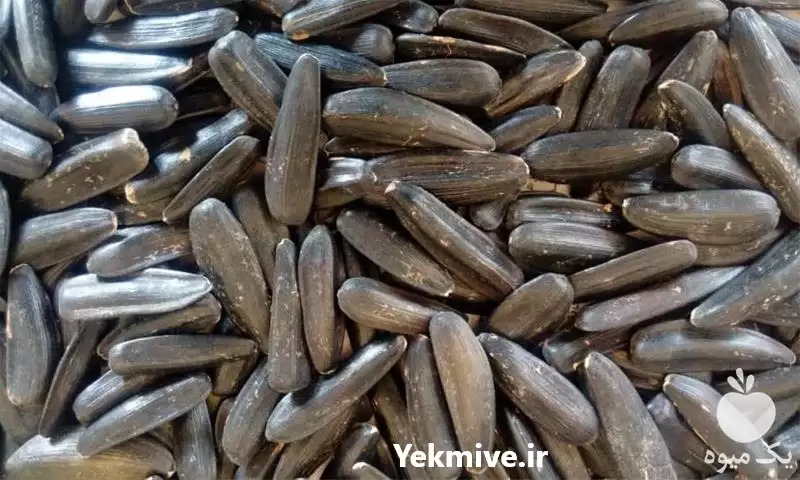 فروش بذر تخمه آفتابگردان شمشیری آجیلی در گروه خرید و فروش انواع تخمه در یکمیوه -عکس1