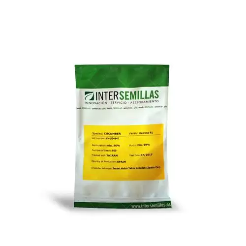 فروش بذر خیار گلخانه ای پرگل در گروه خرید و فروش بذر خیار در یکمیوه -عکس1