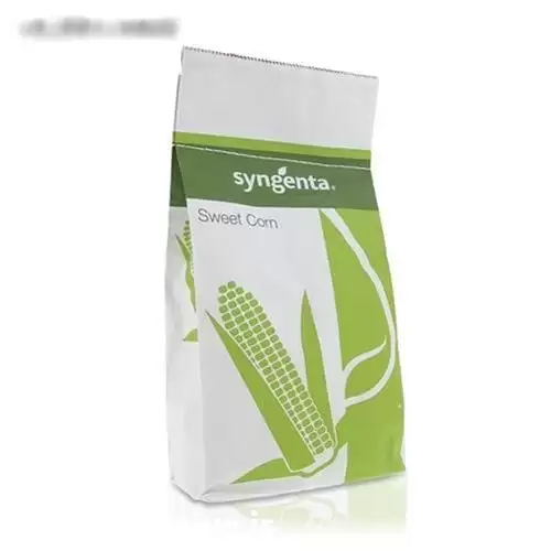 فروش بهترین بذر های سوپر شیرین در شیراز در گروه خرید و فروش ذرت در یکمیوه -عکس1