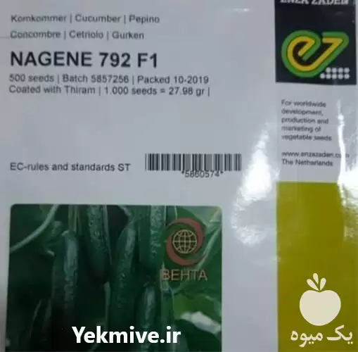 قیمت خرید ویژه بذر خیار ناگین در گروه خرید و فروش بذر خیار در یکمیوه -عکس1