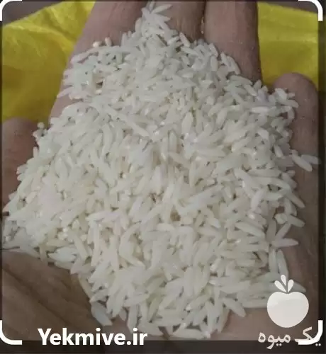 فروش برنج طارم محلی درجه یک در اصفهان در گروه خرید و فروش برنج در یکمیوه -عکس1