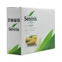 قیمت خرید بذر ذرت شیرین مسنجر در گروه خرید و فروش بذر ذرت در یکمیوه