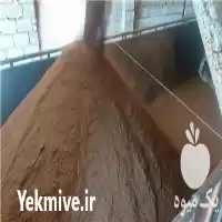 فروش تفاله زیتون در رشت در گروه خرید و فروش زیتون در یکمیوه