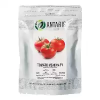 قیمت خرید بذر گوجه ME 40014 در یزد در گروه خرید و فروش بذر گوجه در یکمیوه