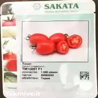 فروش بذر گوجه فرنگی ساکاتا زیر در اهواز در گروه خرید و فروش بذر گوجه در یکمیوه