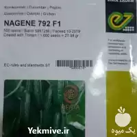 قیمت خرید ویژه بذر خیار ناگین در گروه خرید و فروش بذر خیار در یکمیوه