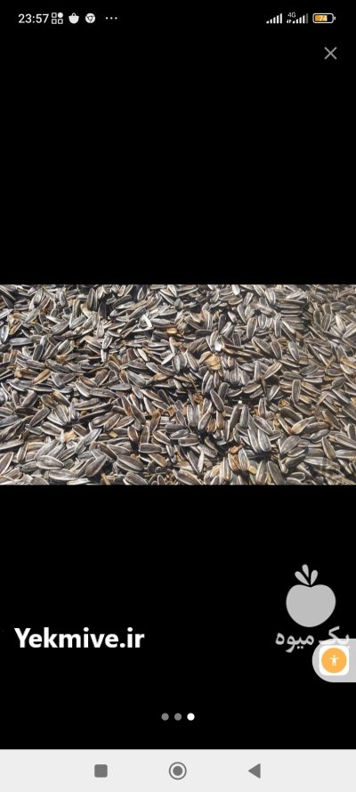 فروش تخمه آفتابگردان آجیلی کانادایی در گروه خرید و فروش انواع تخمه در یکمیوه -عکس1