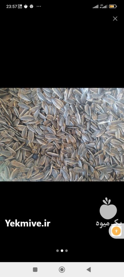 فروش تخمه آفتابگردان آجیلی کانادایی در گروه خرید و فروش انواع تخمه در یکمیوه -عکس2