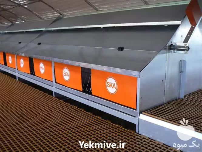 قیمت خرید آشیانه مرغ مادر در مشهد در گروه تجهیزات مرغداری در یکمیوه -عکس1