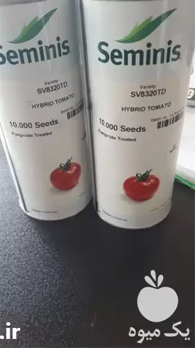 قیمت خرید انواع بذر در تهران در گروه خرید و فروش بذر صیفی جات در یکمیوه -عکس1