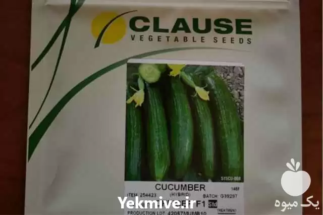 قیمت خرید بذر خیار کلوز در مشهد در گروه خرید و فروش بذر خیار در یکمیوه -عکس1