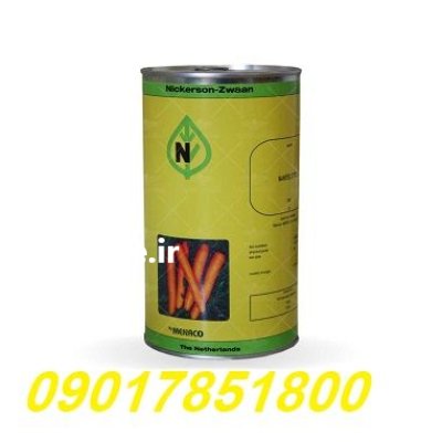 بذر هویج استاندارد تیتو نیکرسون نیم در ارومیه در گروه خرید و فروش بذر هویج در یکمیوه -عکس1